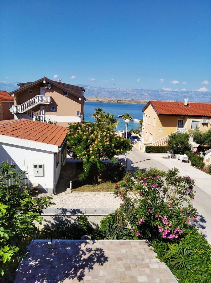 Apartmani Darija Vir Dış mekan fotoğraf